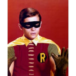 Batman Burt Ward Photo